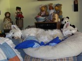 Enlarge photo 151