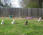 Enlarge photo 140