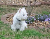 Enlarge photo 157