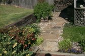 Enlarge photo 274