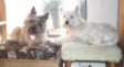 Enlarge photo 388
