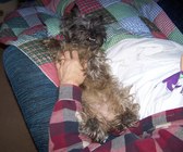 Enlarge photo 22