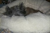 Enlarge photo 278