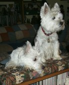 Enlarge photo 233
