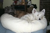 Enlarge photo 243