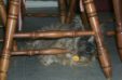 Enlarge photo 393