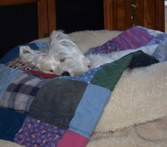 Enlarge photo 216