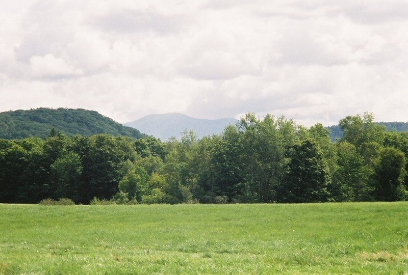Return to Album