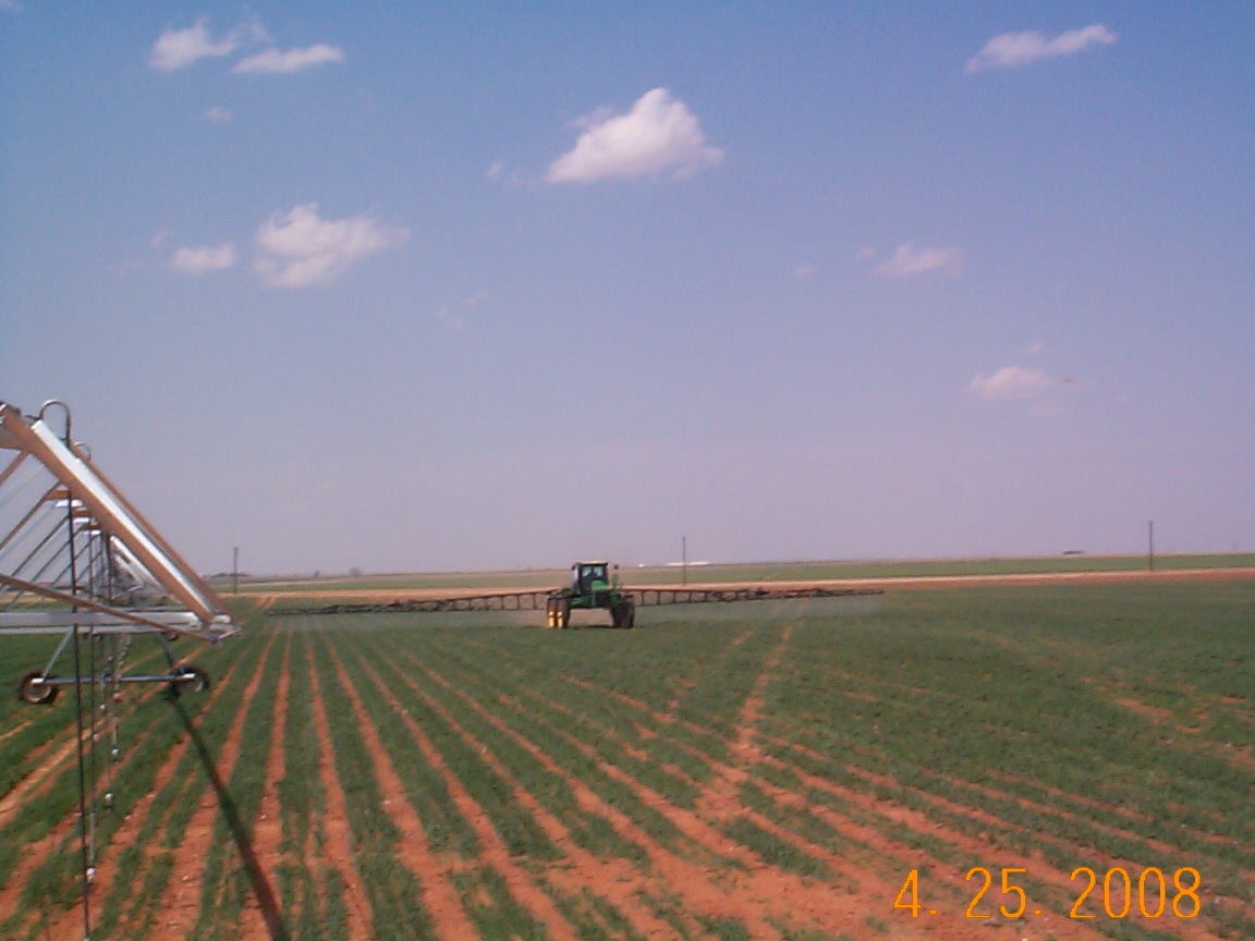 min till wheat kill 2