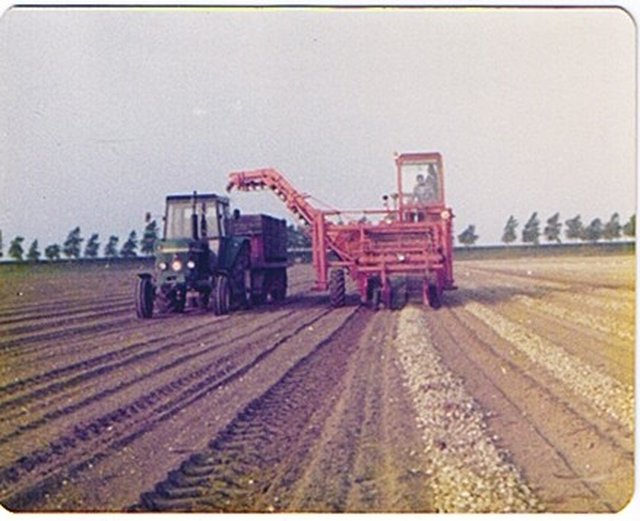 Lil harvester best sale tractor tricycle