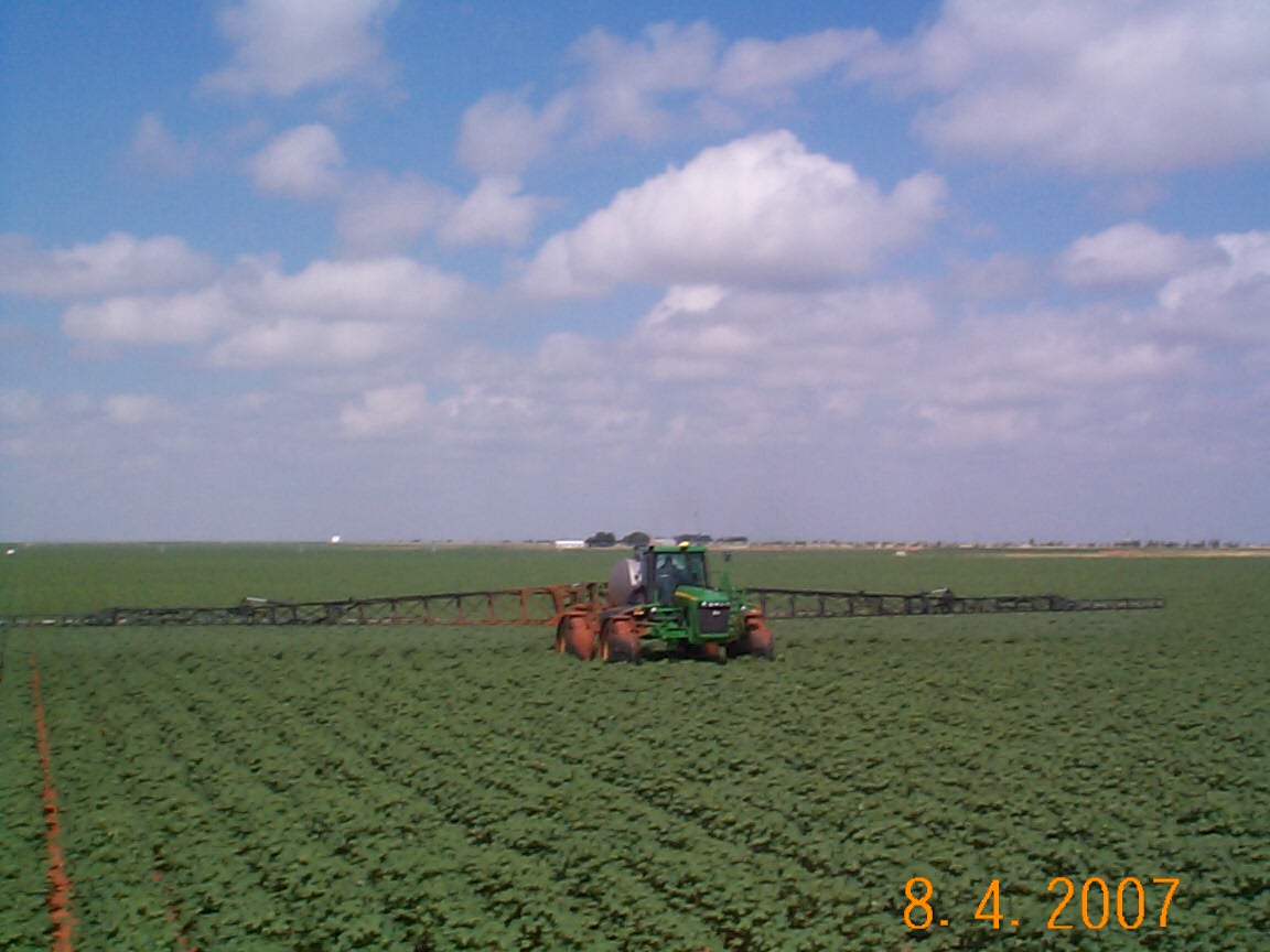 Spraying cotton