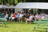 Enlarge photo 85