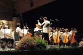 Enlarge photo 142