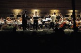Enlarge photo 151