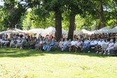 Enlarge photo 260