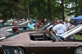 Enlarge photo 95