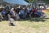 Enlarge photo 259