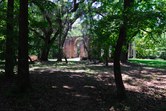 Enlarge photo 43
