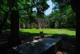 Enlarge photo 44