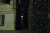 Enlarge photo 53