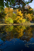 Colors of Kennekuk Park