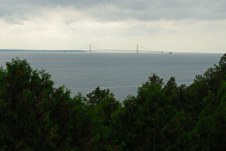 Enlarge photo 41