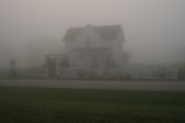 Foggy Morning