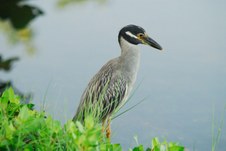 Enlarge photo 15