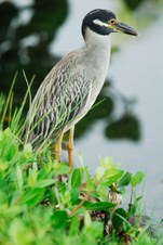 Enlarge photo 17
