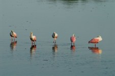 Enlarge photo 34