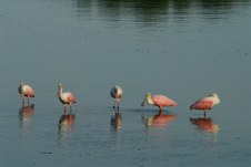 Enlarge photo 35