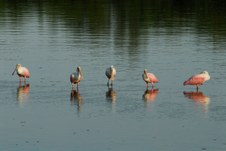 Enlarge photo 36