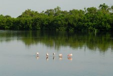 Enlarge photo 37