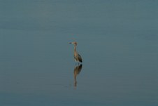Enlarge photo 47