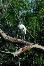 Enlarge photo 49