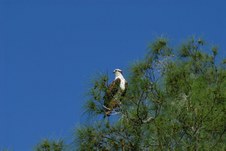 Enlarge photo 54