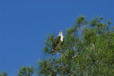 Enlarge photo 55