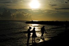 Enlarge photo 91