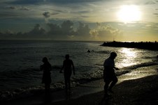 Enlarge photo 92