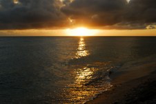 Enlarge photo 102