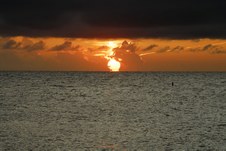 Enlarge photo 110