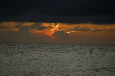 Enlarge photo 114