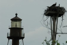 Enlarge photo 122