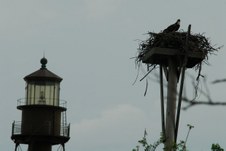 Enlarge photo 123
