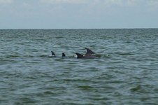 Enlarge photo 132