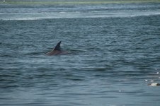 Enlarge photo 135