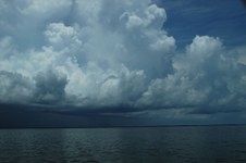 Enlarge photo 137