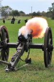 Vermilion County Civil War Days 2010