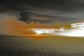 Enlarge photo 48