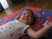 Enlarge photo 57